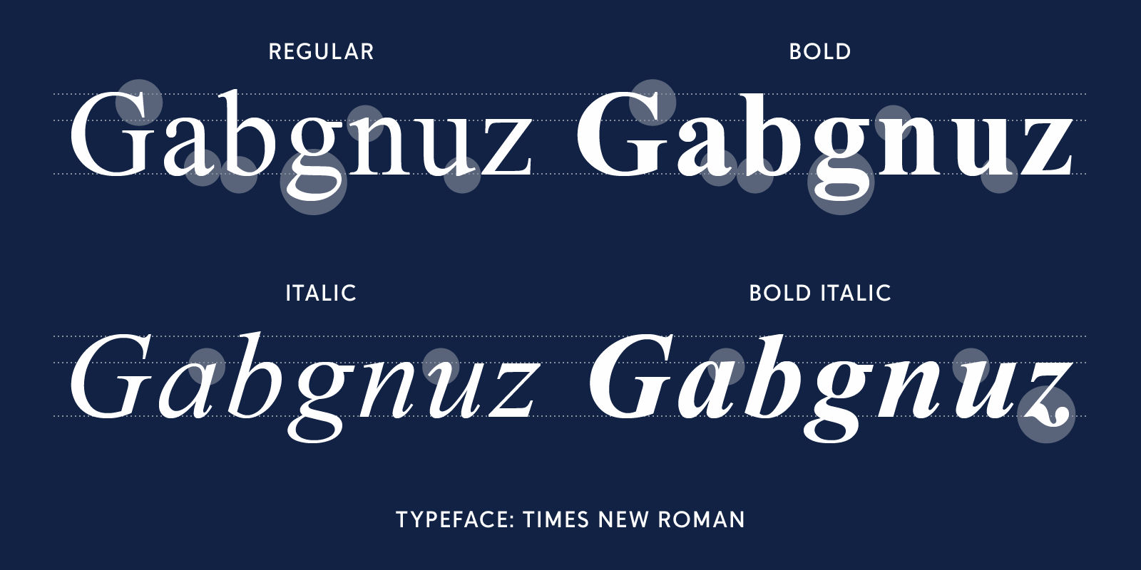 Differences are highlighted in features among the styles of Times New Roman.
